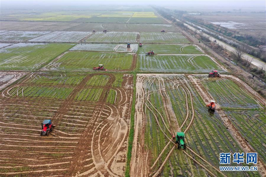 （抓好春耕備耕 穩(wěn)住農(nóng)業(yè)生產(chǎn)·圖文互動(dòng)）（2）智能農(nóng)機(jī)、“訂單”服務(wù)、“云端”種菜——來(lái)自江西的春耕“新事”