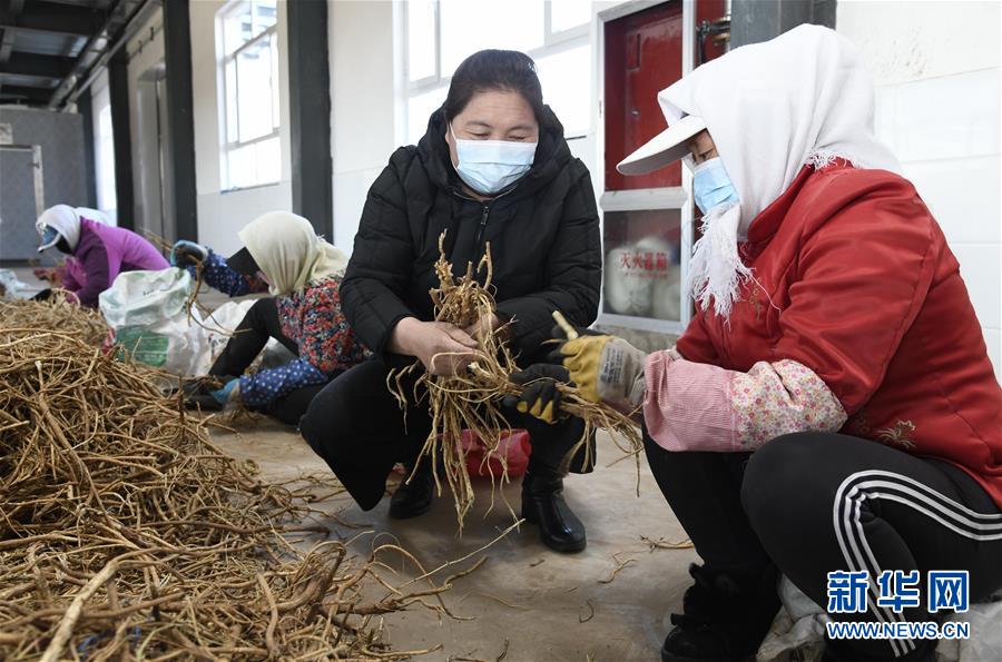 （新華全媒頭條·圖文互動）（2）特殊時期，他們這樣履職——全國人大代表這個春天在行動