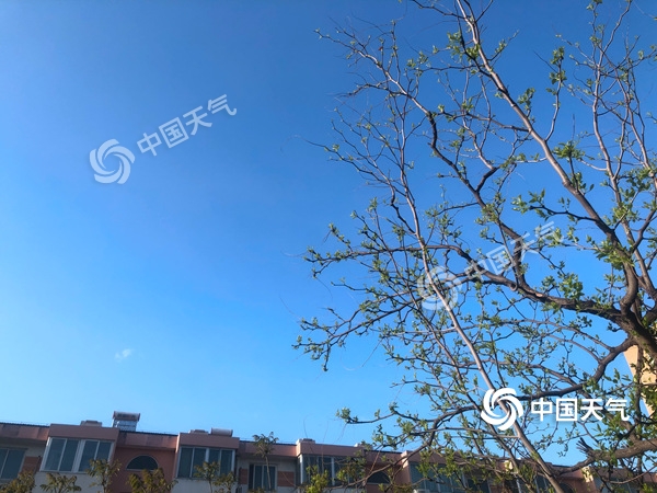 陣風(fēng)8級(jí)！北京遭遇雨后大降溫 北風(fēng)勁吹需添衣