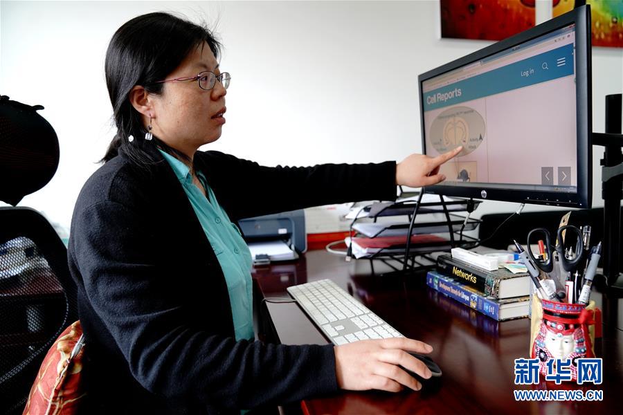 （圖文互動）（1）攻擊行為如何被大腦控制？科學家在小鼠大腦中發(fā)現(xiàn)“調(diào)節(jié)開關(guān)”