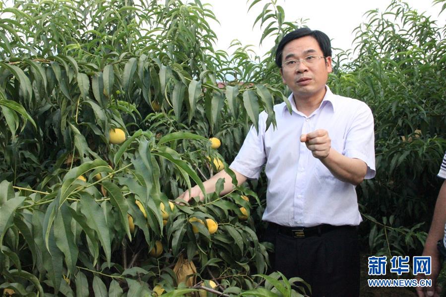 （圖文互動）（2）“為脫貧而來，為脫貧而去”——追記湖南炎陵縣委原書記黃詩燕 