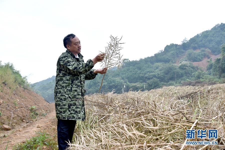 （代表委員履職·圖文互動）（1）“我是農民代表，始終關注農村”——全國人大代表沈昌健的履職故事