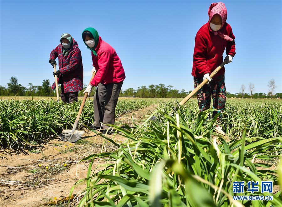 （新華全媒頭條·圖文互動(dòng)）（17）從人民中汲取磅礴力量——習(xí)近平總書(shū)記同出席2020年全國(guó)兩會(huì)人大代表、政協(xié)委員共商國(guó)是紀(jì)實(shí)
