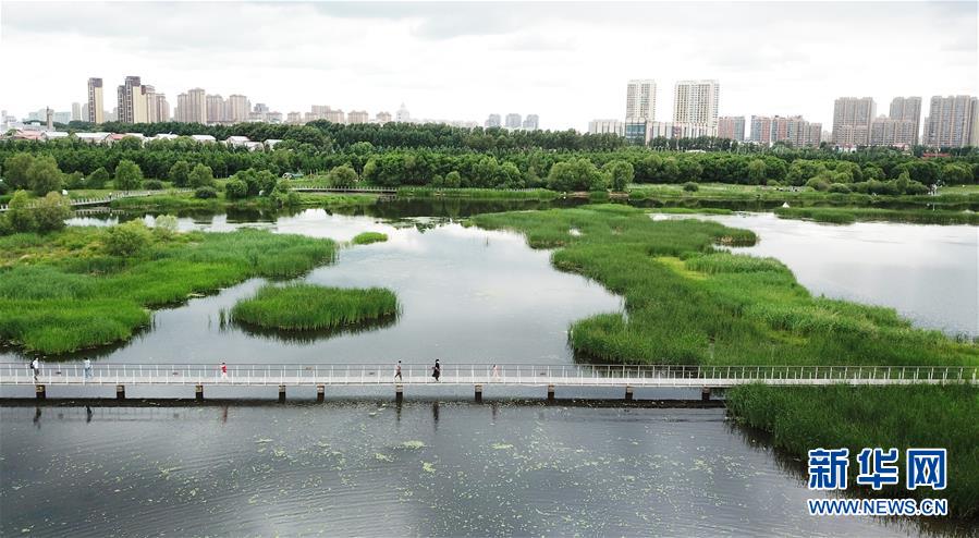 （走向我們的小康生活·圖文互動）（1）水清、地綠、空氣新——最北省份黑龍江繪就生態(tài)治理新畫卷