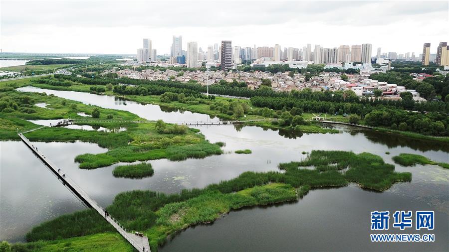 （走向我們的小康生活·圖文互動）（2）水清、地綠、空氣新——最北省份黑龍江繪就生態(tài)治理新畫卷