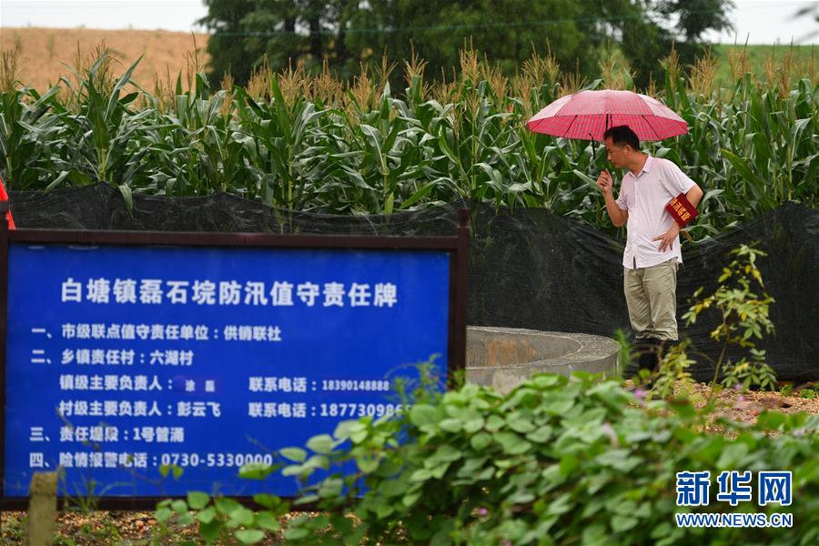 （防汛抗洪·圖文互動）（1）“險情不可怕，可怕的是不能及時發(fā)現(xiàn)險情”——洞庭湖巡堤查險現(xiàn)場直擊