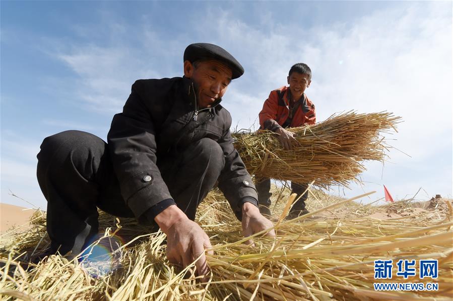 （在習(xí)近平新時代中國特色社會主義思想指引下——新時代新作為新篇章·習(xí)近平總書記關(guān)切事·圖文互動）（5）綠色映底蘊，山水見初心——生態(tài)優(yōu)先、綠色發(fā)展持續(xù)造福群眾美好生活