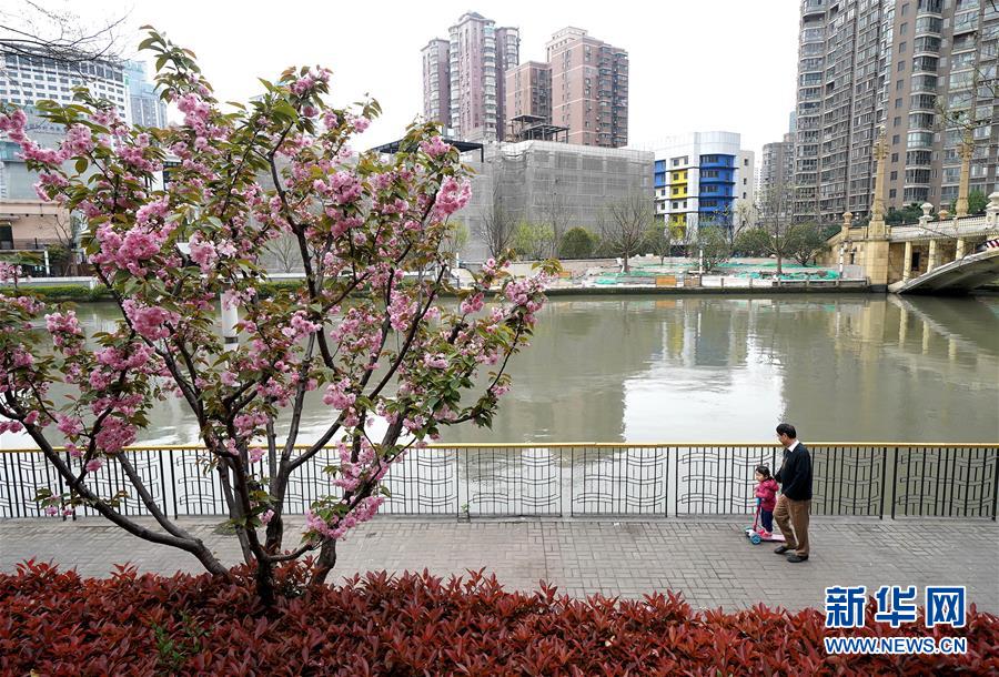 （新華全媒頭條·走向我們的小康生活·圖文互動）（12）城市，讓人民生活更美好