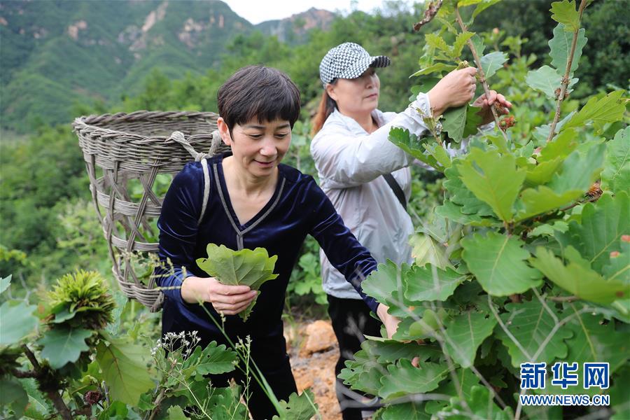 （新華全媒頭條·走向我們的小康生活·圖文互動(dòng)）（7）長(zhǎng)城腳下，小康村串成“珍珠鏈”