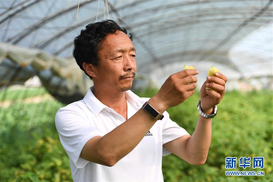 （新華全媒頭條·走向我們的小康生活·圖文互動(dòng)）（7）黑土地上是我家——在吉林，一瞥中國(guó)東北鄉(xiāng)村美麗未來(lái)