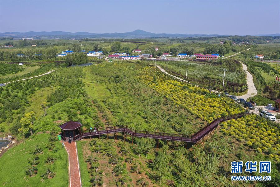 （新華全媒頭條·走向我們的小康生活·圖文互動(dòng)）（16）黑土地上是我家——在吉林，一瞥中國(guó)東北鄉(xiāng)村美麗未來(lái)