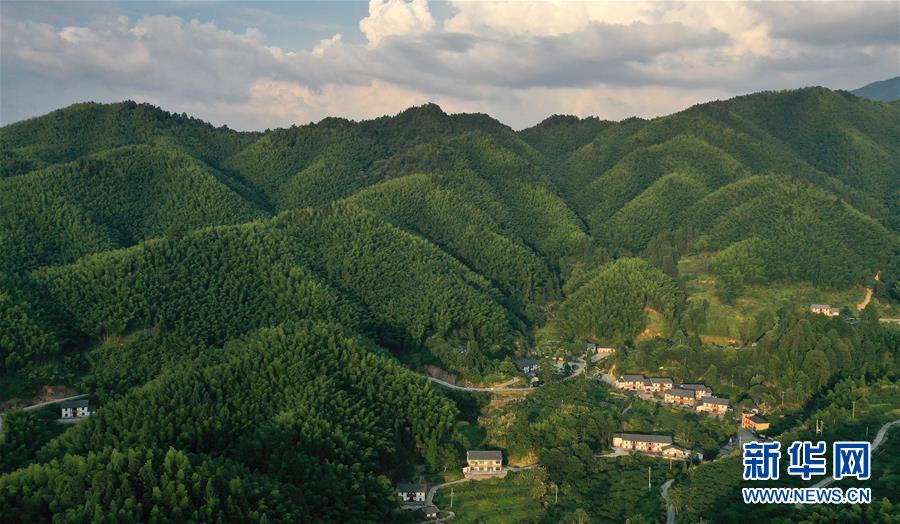 （新華全媒頭條·走向我們的小康生活·圖文互動(dòng)）（2）神山村“神奇”何在？——井岡山深處覓答案