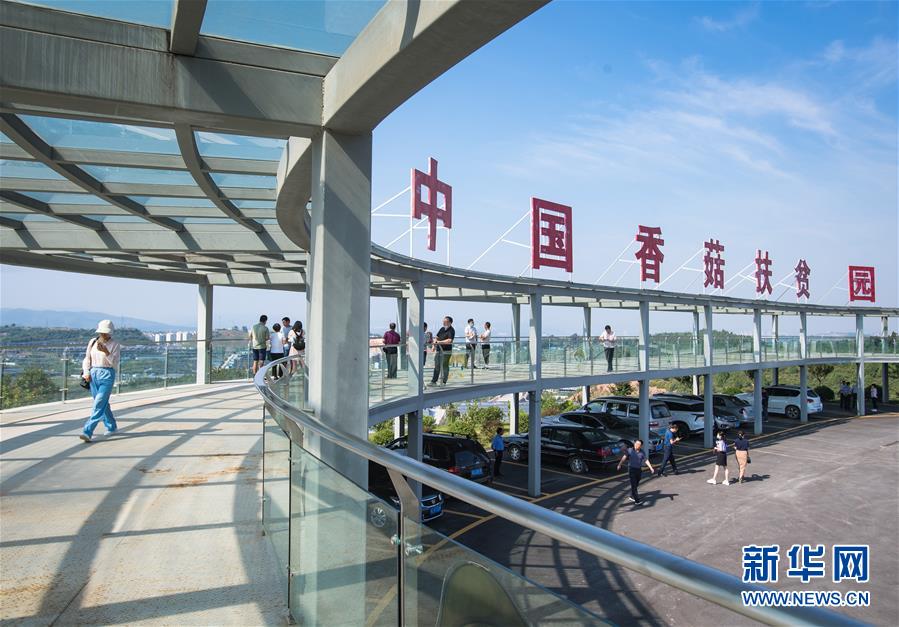 （新華全媒頭條·走向我們的小康生活·圖文互動(dòng)）（2）特殊之年，荊楚大地書寫不平凡的答卷
