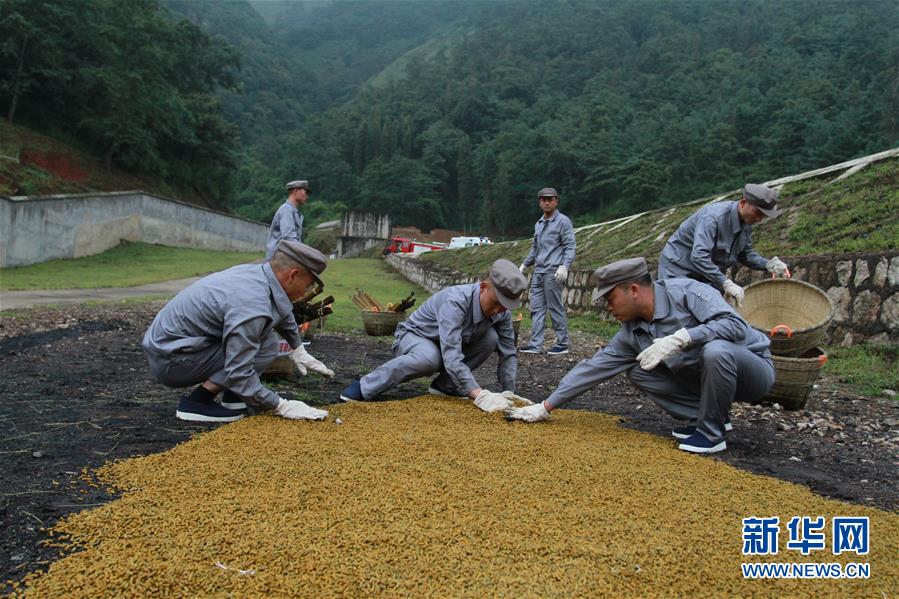 （在習近平強軍思想指引下·我們在戰(zhàn)位報告·圖文互動）（3）牢記統(tǒng)帥囑托  做刀尖上的舞者——記聯勤保障部隊某報廢武器彈藥銷毀站參謀長陳雪禮