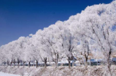 全國初雪時間表出爐 看看你離初雪還有多遠(yuǎn)？