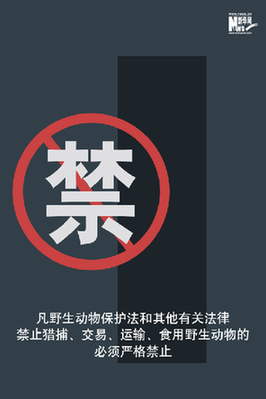 向非法野生動(dòng)物交易、濫食野生動(dòng)物陋習(xí)亮劍