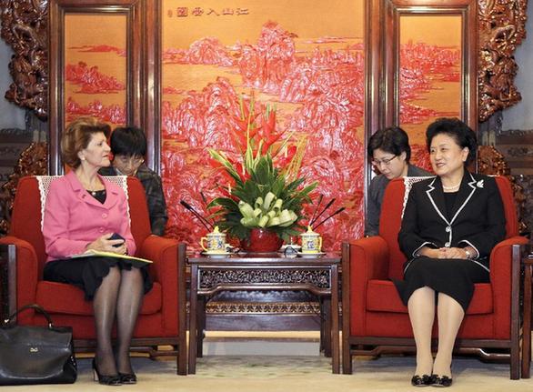劉延?xùn)|會(huì)見歐盟委員會(huì)教育、文化、語言多樣性及青年事務(wù)委員瓦西利烏