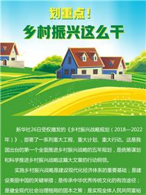 劃重點！鄉(xiāng)村振興這么干