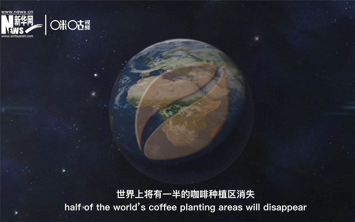 科學(xué)家預(yù)測到三十年后，世界上將有一半的咖啡種植區(qū)消失
