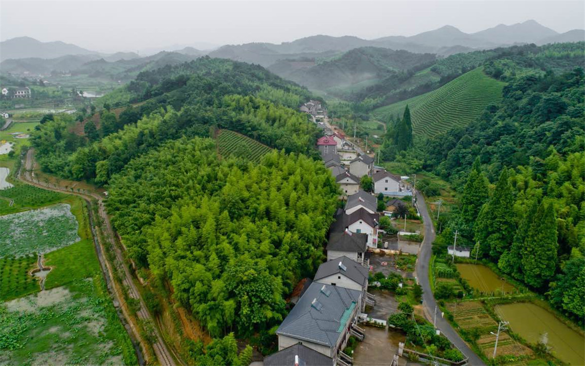 從2003年起，浙江省開(kāi)展了“千村示范、萬(wàn)村整治”工程