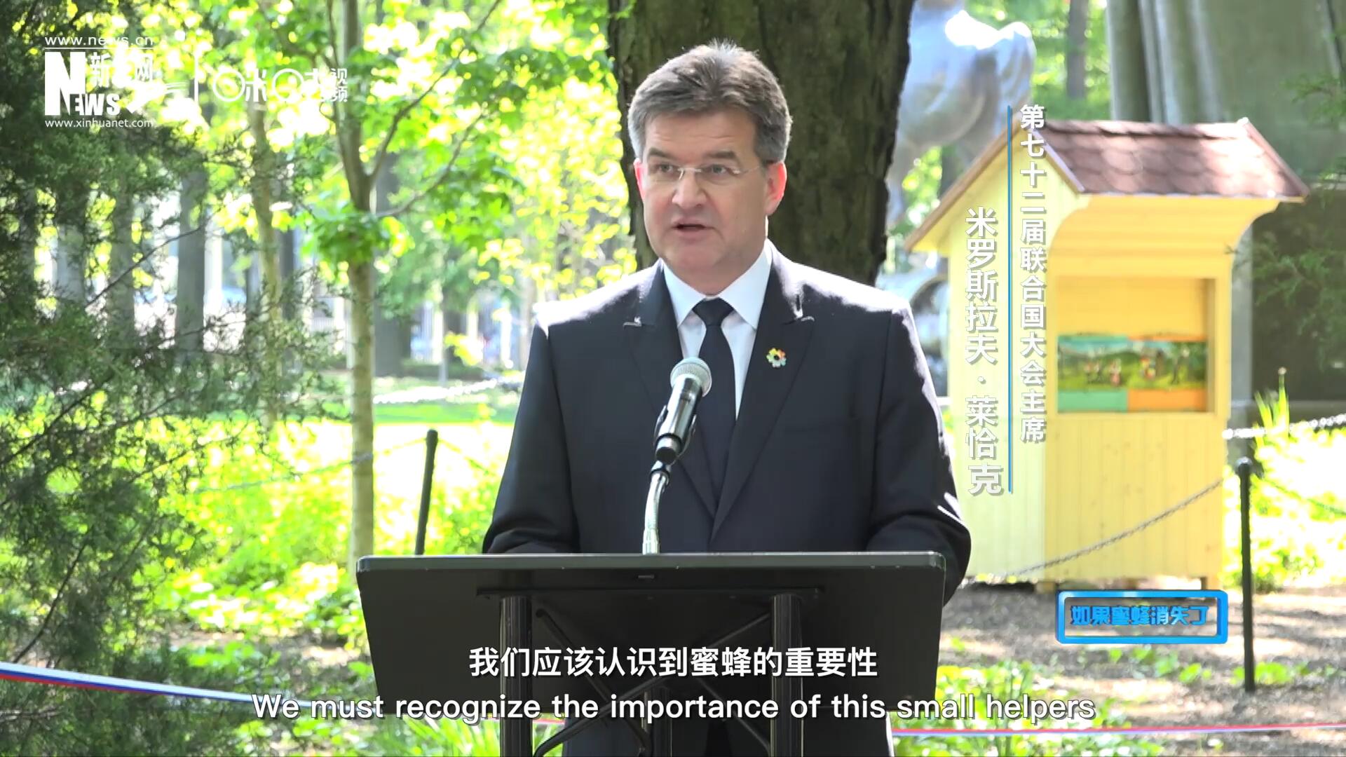 我們應(yīng)該認識到蜜蜂的重要性，所以我們用“世界蜜蜂日”提高大家保護蜜蜂的意識，并且用實際行動去保護蜜蜂