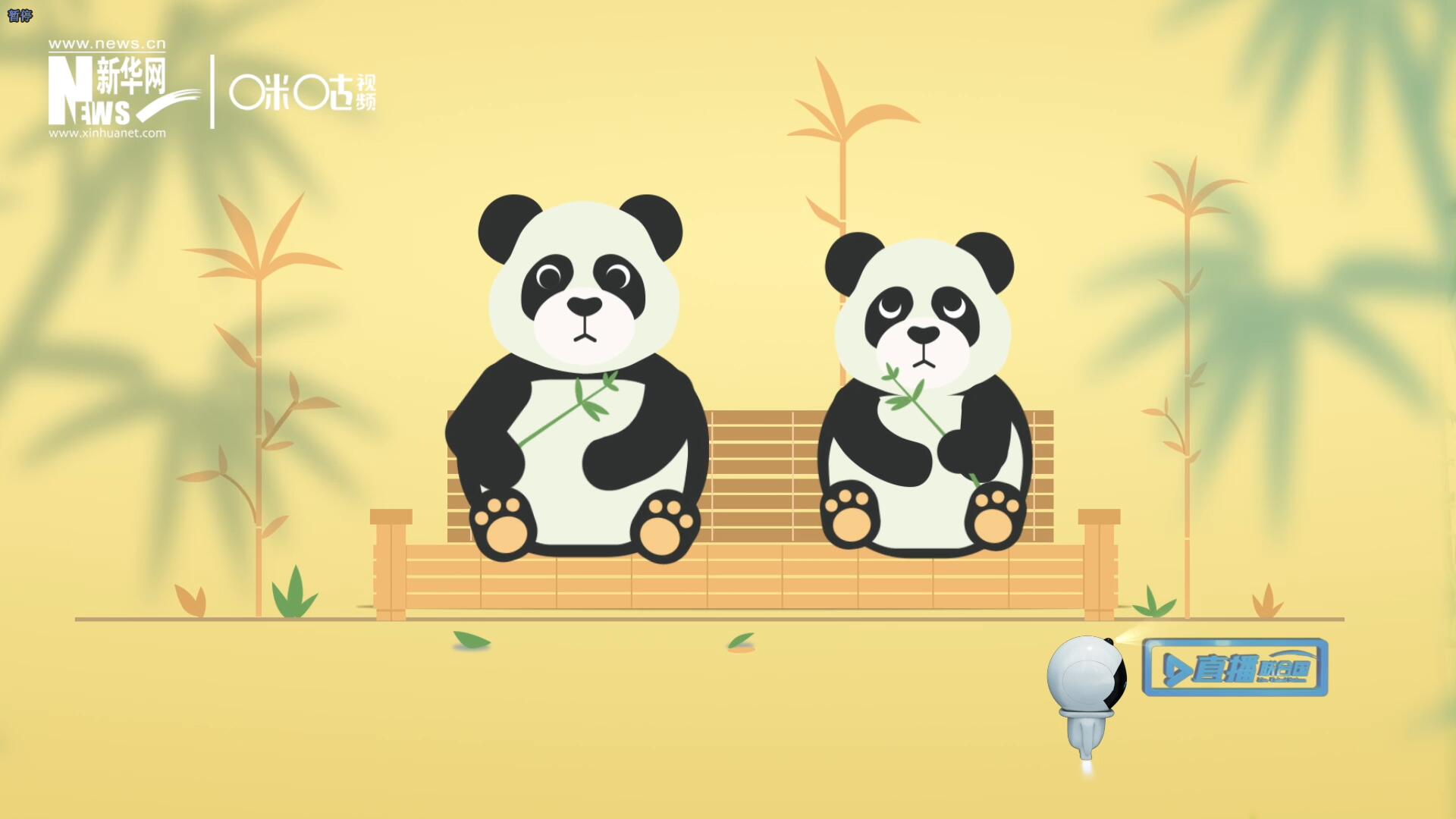 “哥哥你看，又有人來看我們了。”“有什么奇怪的，我們可是聯(lián)合國‘最萌’的大使啊！”。