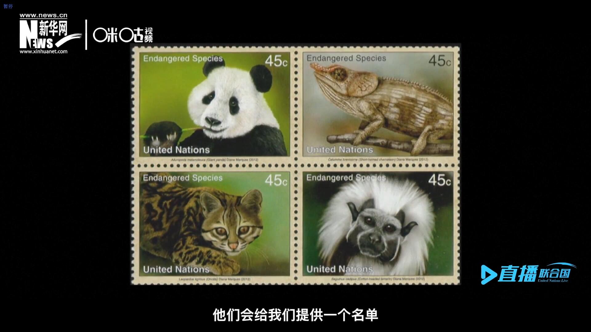 CITES（瀕危野生動植物種國際貿(mào)易公約）會給聯(lián)合國郵政設(shè)計師提供一個名單，雙方共同合作在附錄中找到名單中應(yīng)該受到關(guān)注的動物。