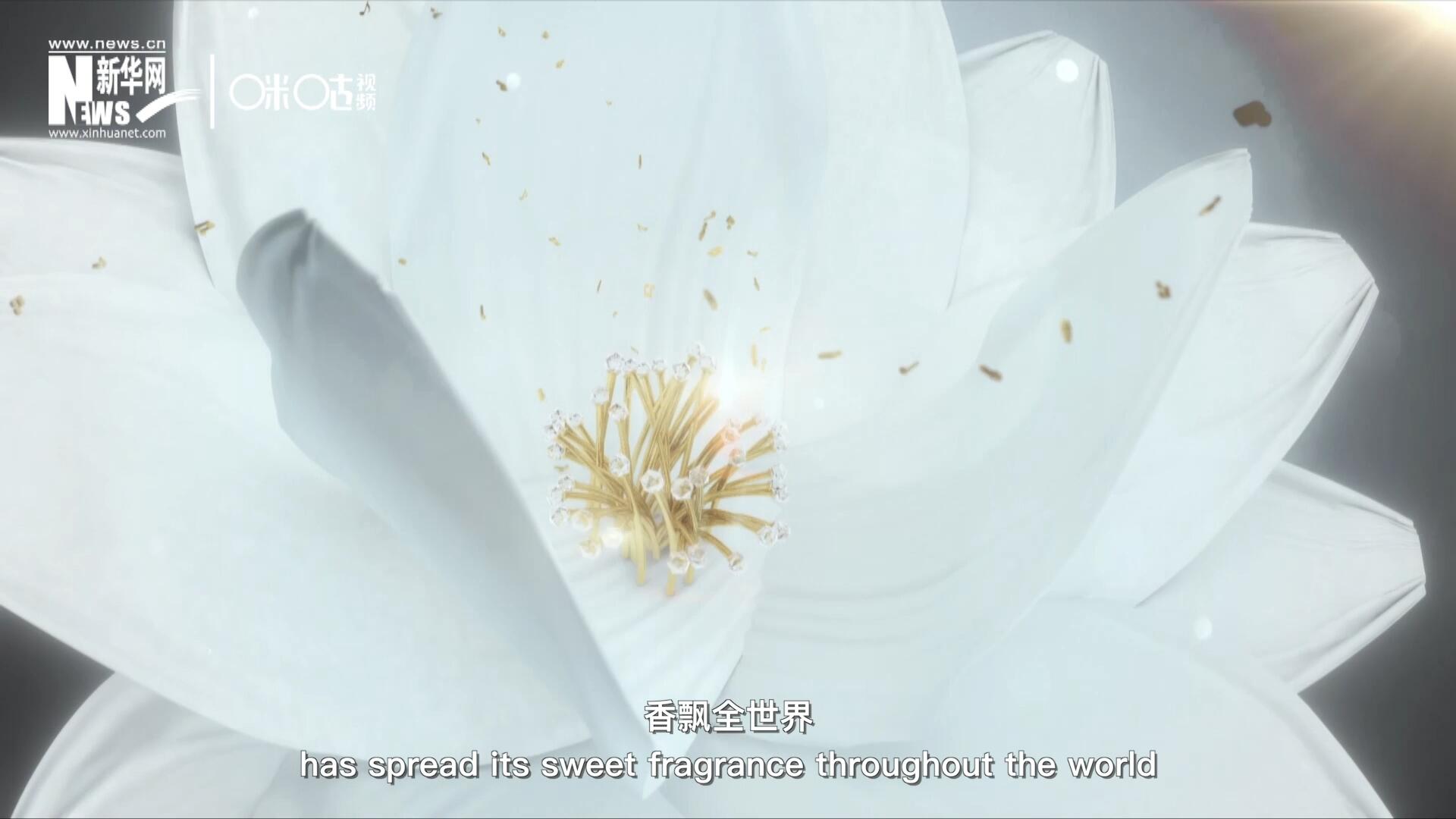 一朵茉莉花，香飄全世界。這首充滿民族特色的經典旋律，在世界范圍內廣為流傳，是極具辨識度的東方音樂符號。