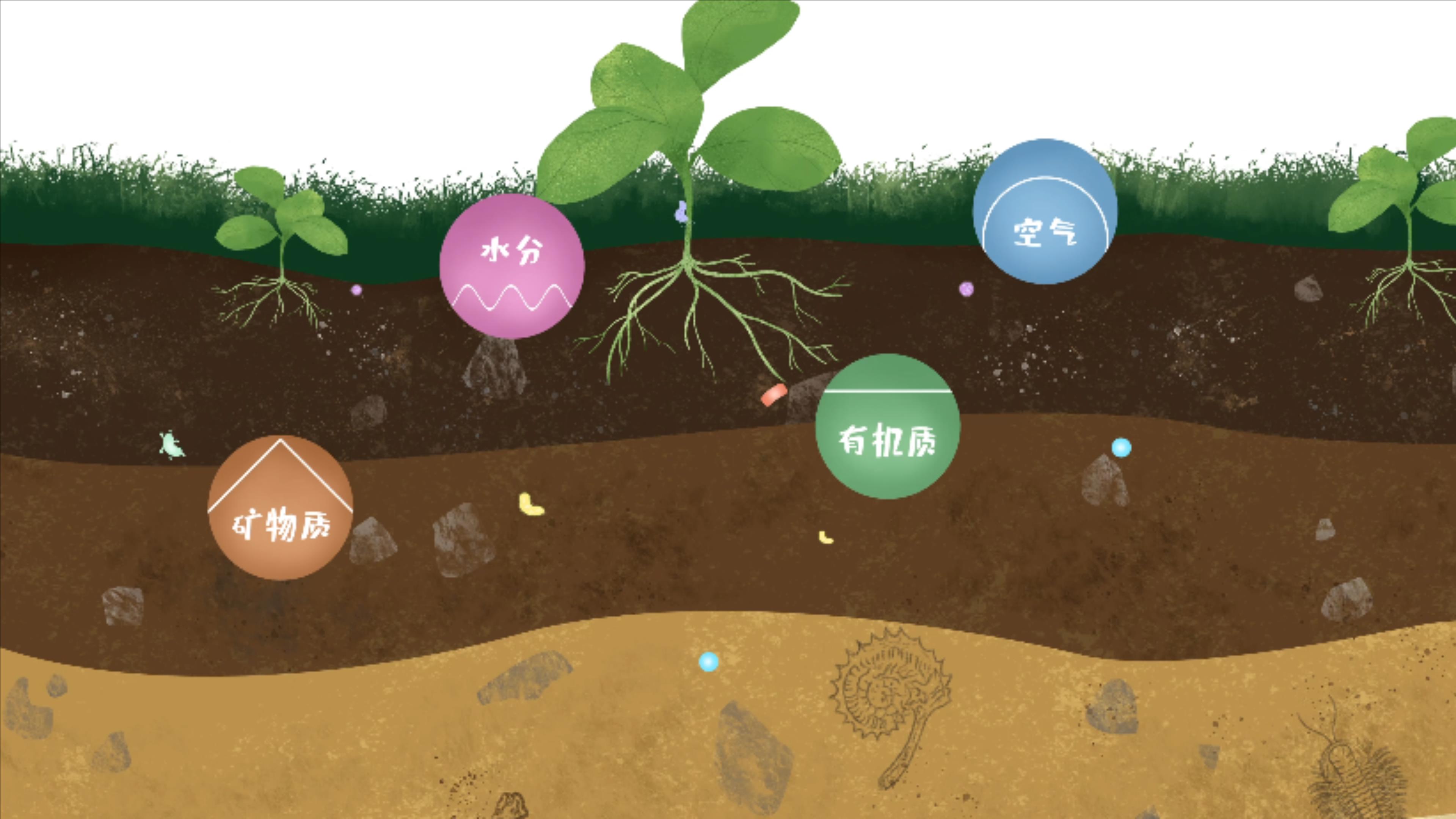 土壤由礦物質(zhì)、有機(jī)質(zhì)、水分、空氣及包括微生物在內(nèi)的生物體等組成