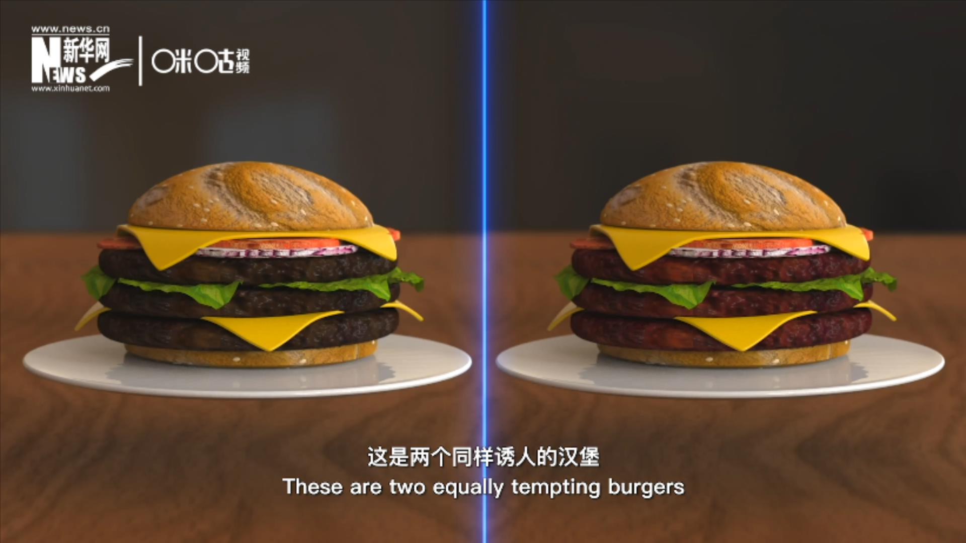人造肉漢堡能在生產(chǎn)過程中節(jié)約水、土地、排放以及能量