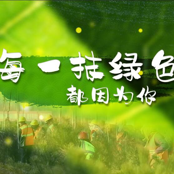 千年秀林，每一抹綠色都因為你