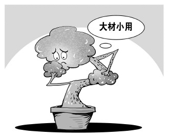 自認(rèn)“大材小用”，不如腳踏實(shí)地