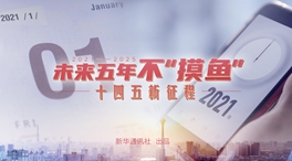 未來五年，不“摸魚”