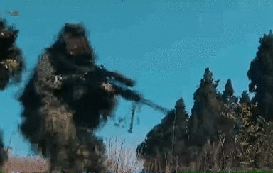 突入，擊斃！直擊武警特戰(zhàn)反劫持演練！