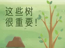 這些樹很重要！