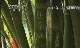“五一”去哪？：快樂出行 文明旅游