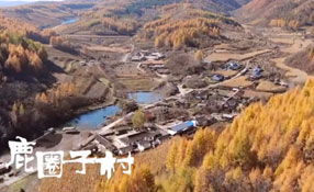 探秘關(guān)東人家，畫一個(gè)童話里的秋天