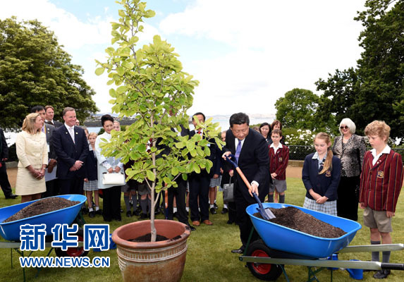 11月18日，國家主席習(xí)近平在澳大利亞塔斯馬尼亞州與朗塞斯頓市斯科奇－歐克伯恩小學(xué)的小學(xué)生共同植樹。新華社記者 饒愛民 攝