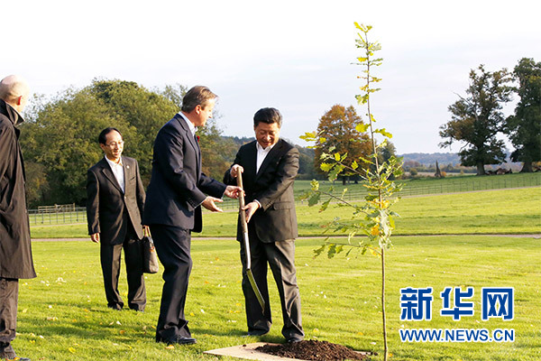 兩國領(lǐng)導(dǎo)人一同在別墅草坪，共同種下象征中英友誼的橡樹。新華社記者 鞠鵬 攝