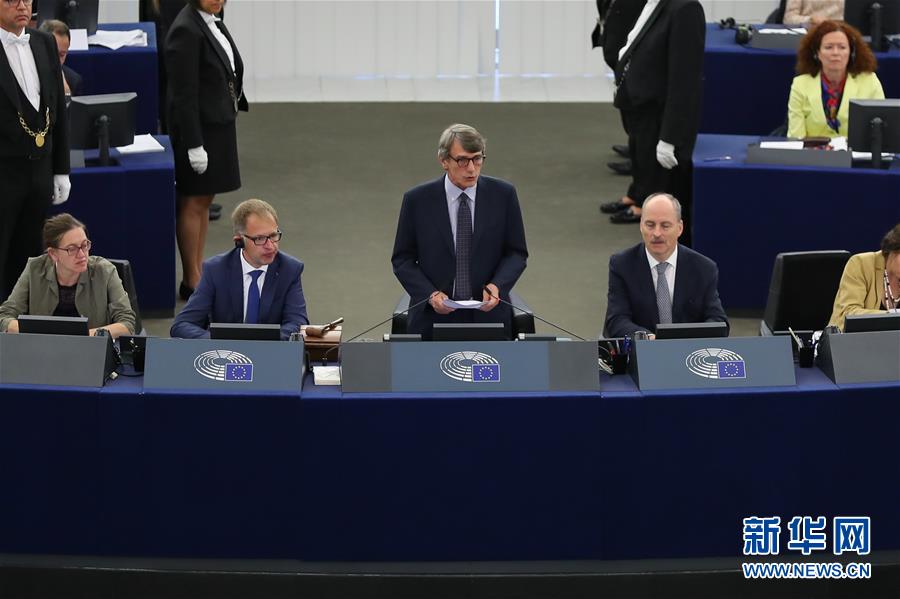 (國(guó)際)(2)意大利議員薩索利當(dāng)選歐洲議會(huì)新議長(zhǎng)