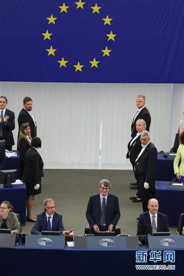 (國(guó)際)(3)意大利議員薩索利當(dāng)選歐洲議會(huì)新議長(zhǎng)